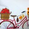 Bike Pillow cover for Fall, Embroidered bicycle pillow, seasonal bike pillow covers product 3